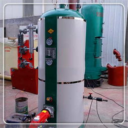 新聞 四川省宜賓市生物質(zhì)蒸汽發(fā)生器廠家