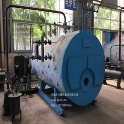 【wns1-1.0臥式燃氣蒸汽鍋爐屠宰場水池加熱用蒸汽鍋爐】-