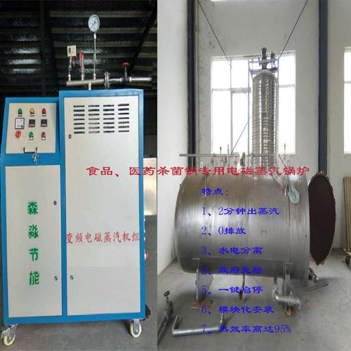 高效環(huán)保的食品蒸煮殺菌電熱蒸汽發(fā)生器 智能電磁蒸汽鍋爐引領(lǐng)行業(yè)革新